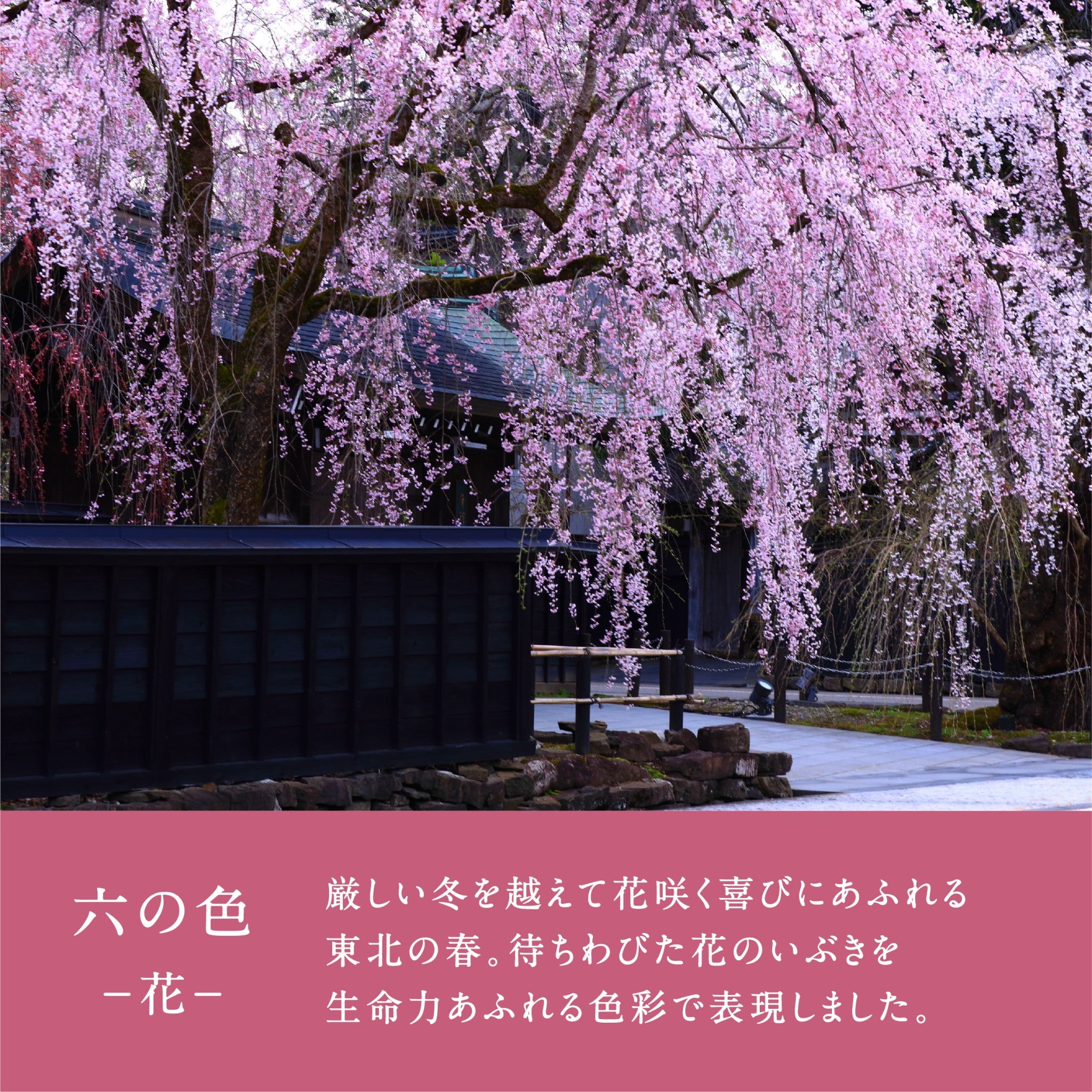 津軽びいどろ 六の色(むつのいろ) 盃ペア 海と花 イメージ画像