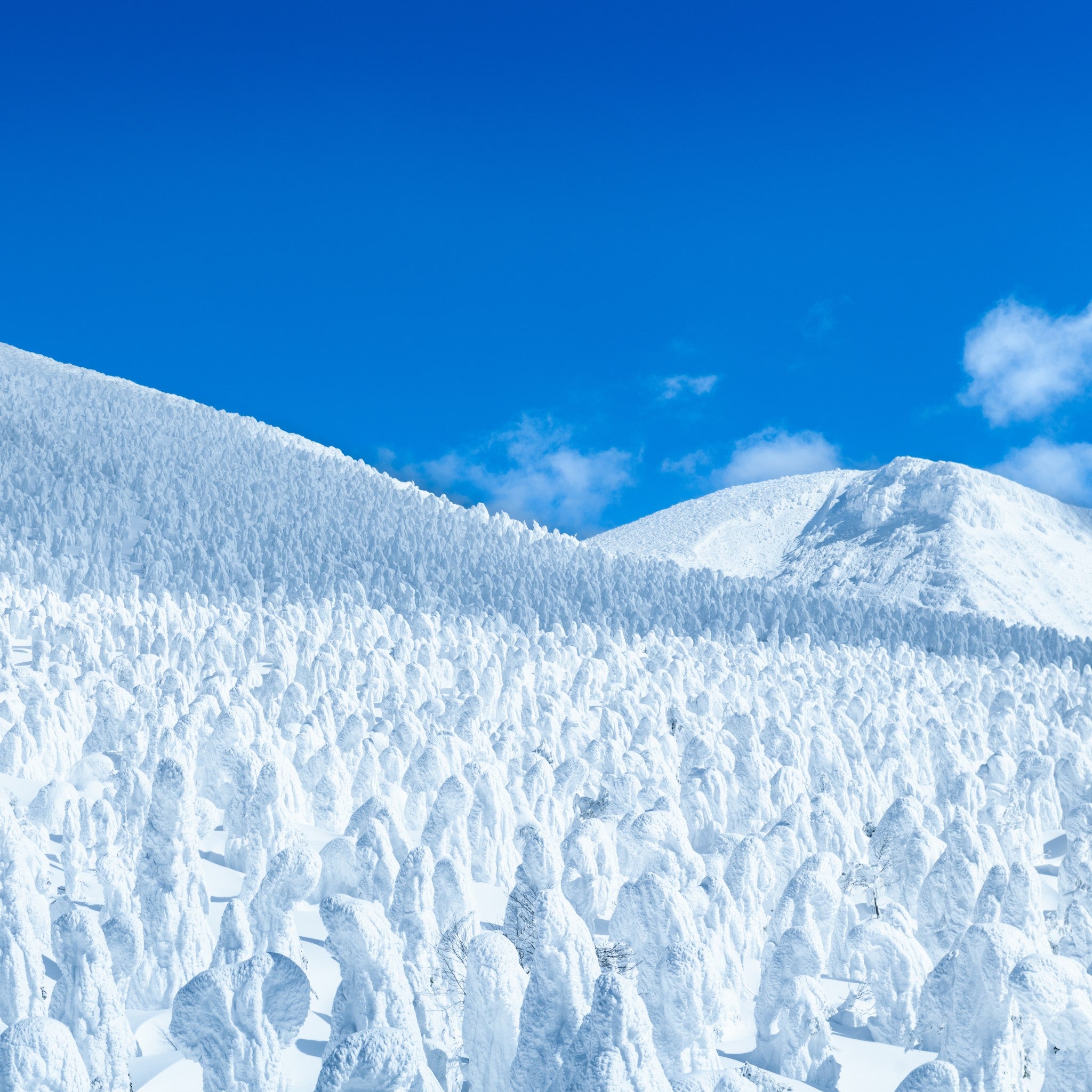 津軽びいどろ 六の色(むつのいろ) グラス 雪 風景のイメージ画像