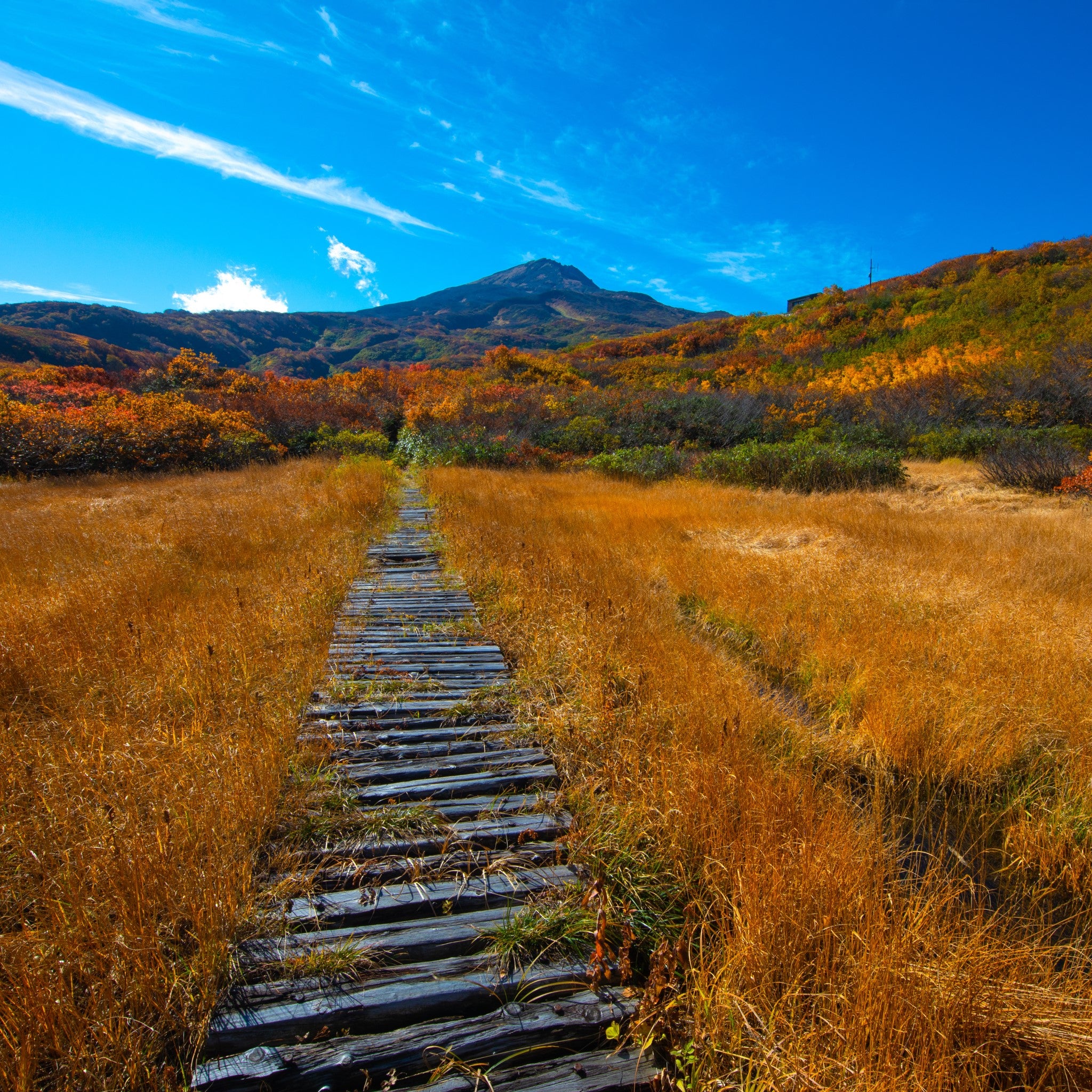 津軽びいどろ 六の色(むつのいろ) 小鉢 山 風景のイメージ画像