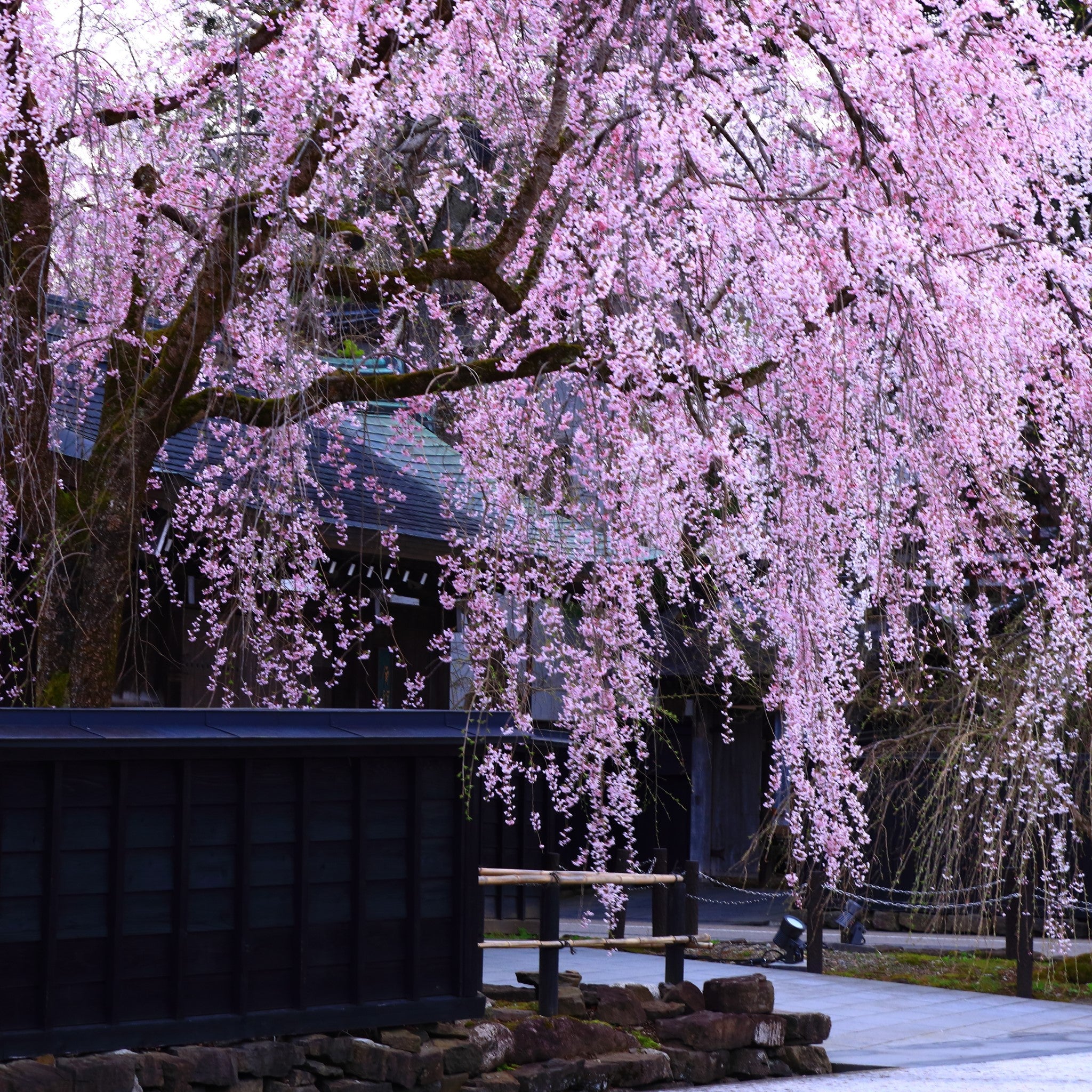 津軽びいどろ 六の色(むつのいろ) 箸置き 花 風景のイメージ画像