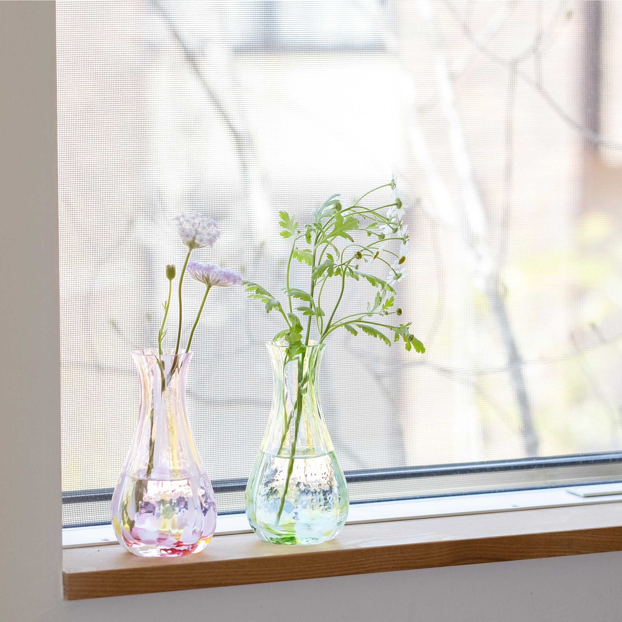 津軽びいどろ 花ひかり フォレストグリーン 白い花を活けた画像