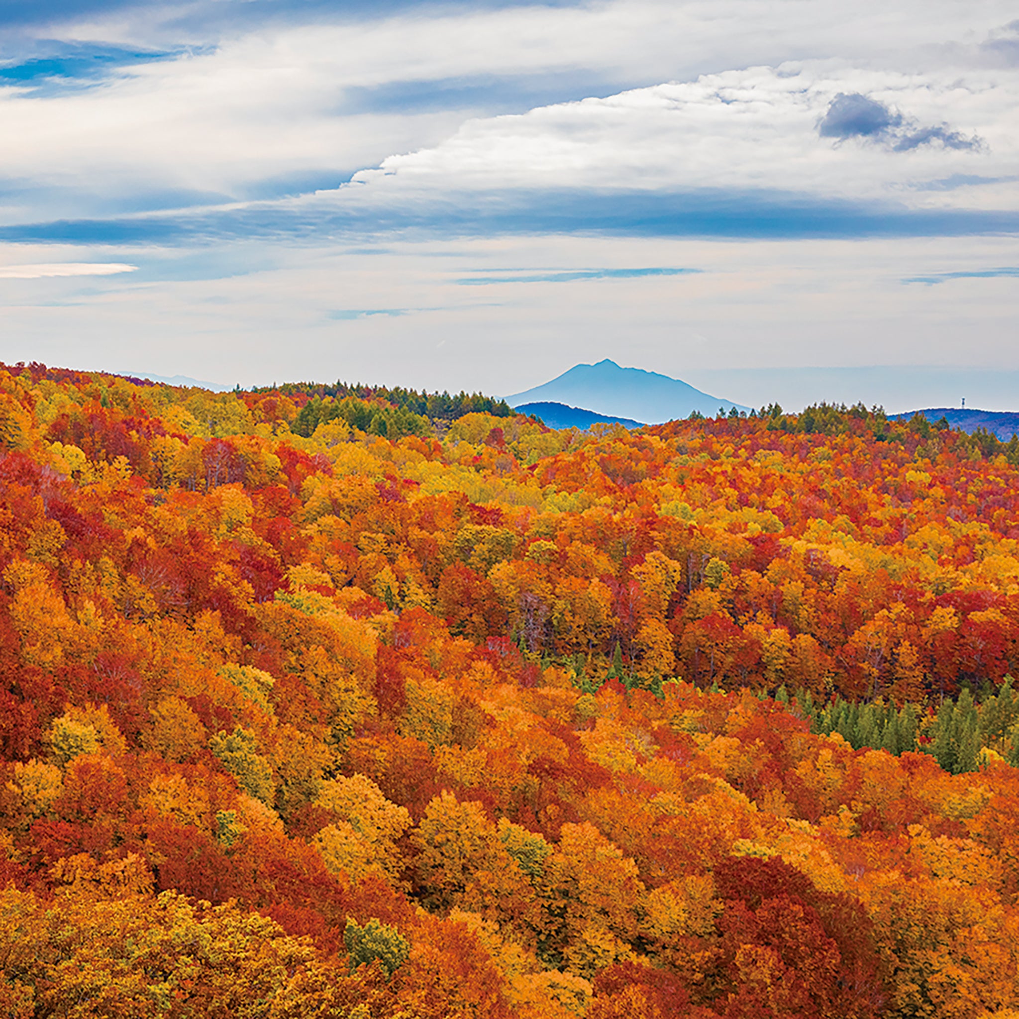 津軽びいどろ にほんの色ふうけい タンブラー紅葉山 イメージ画像