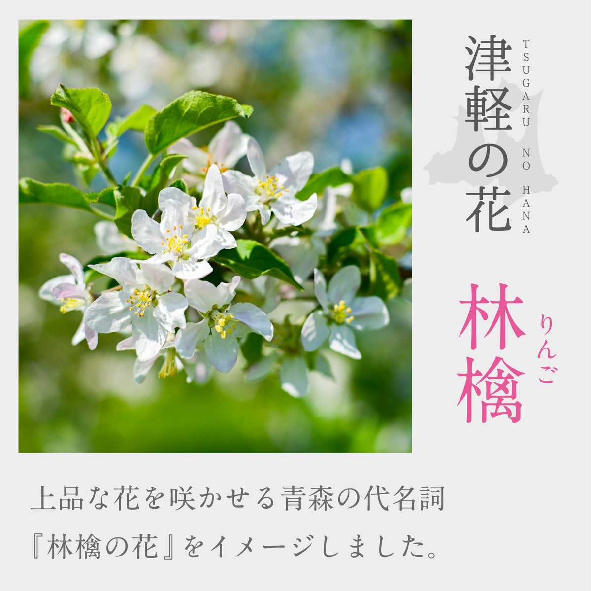 津軽びいどろ 津軽の花 ガラス麺鉢 林檎 青森県に咲く花 林檎