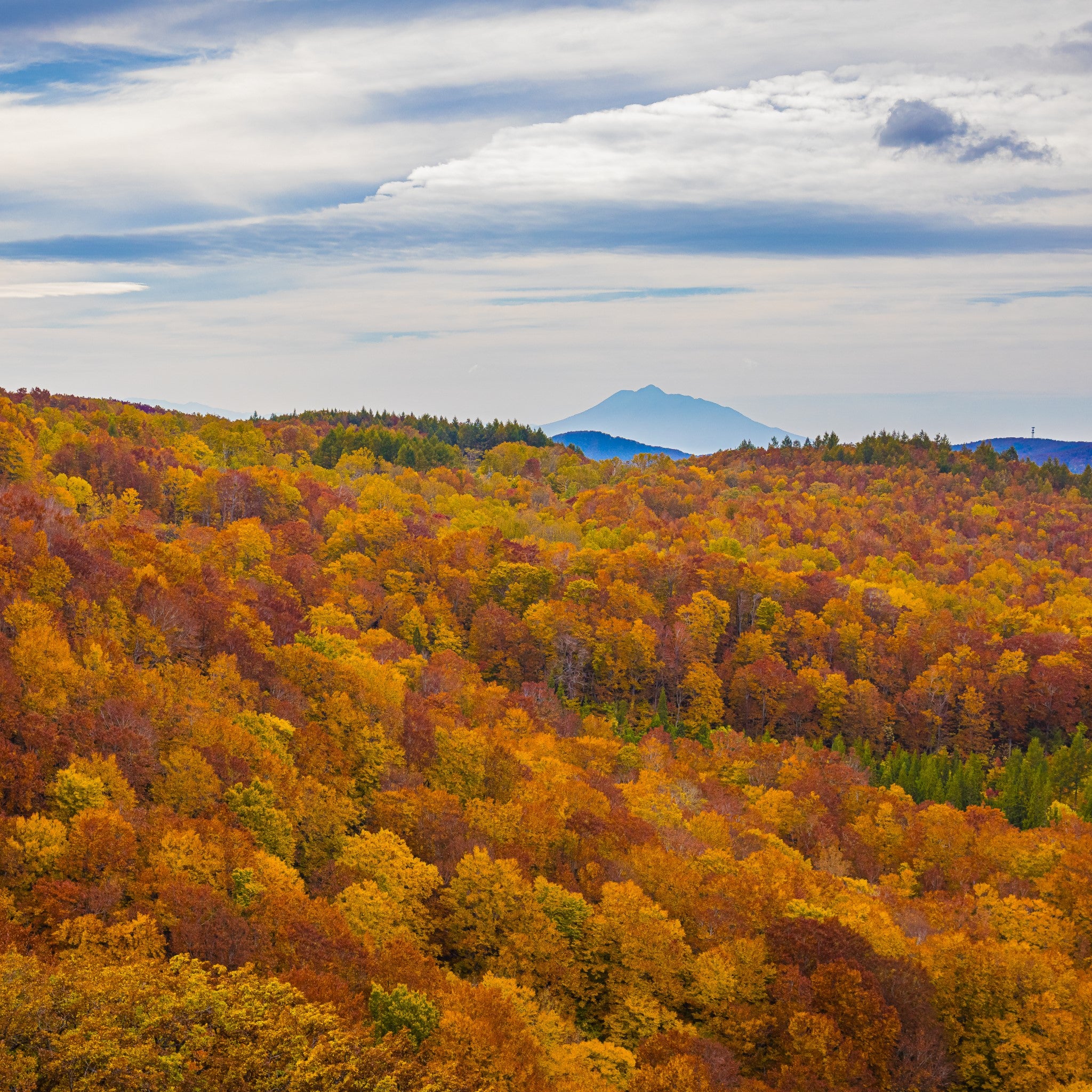 津軽びいどろオンラインショップ 津軽びいどろ にほんの色 ふうけい 盃 紅葉山 紅色に染まった山のイメージ画像