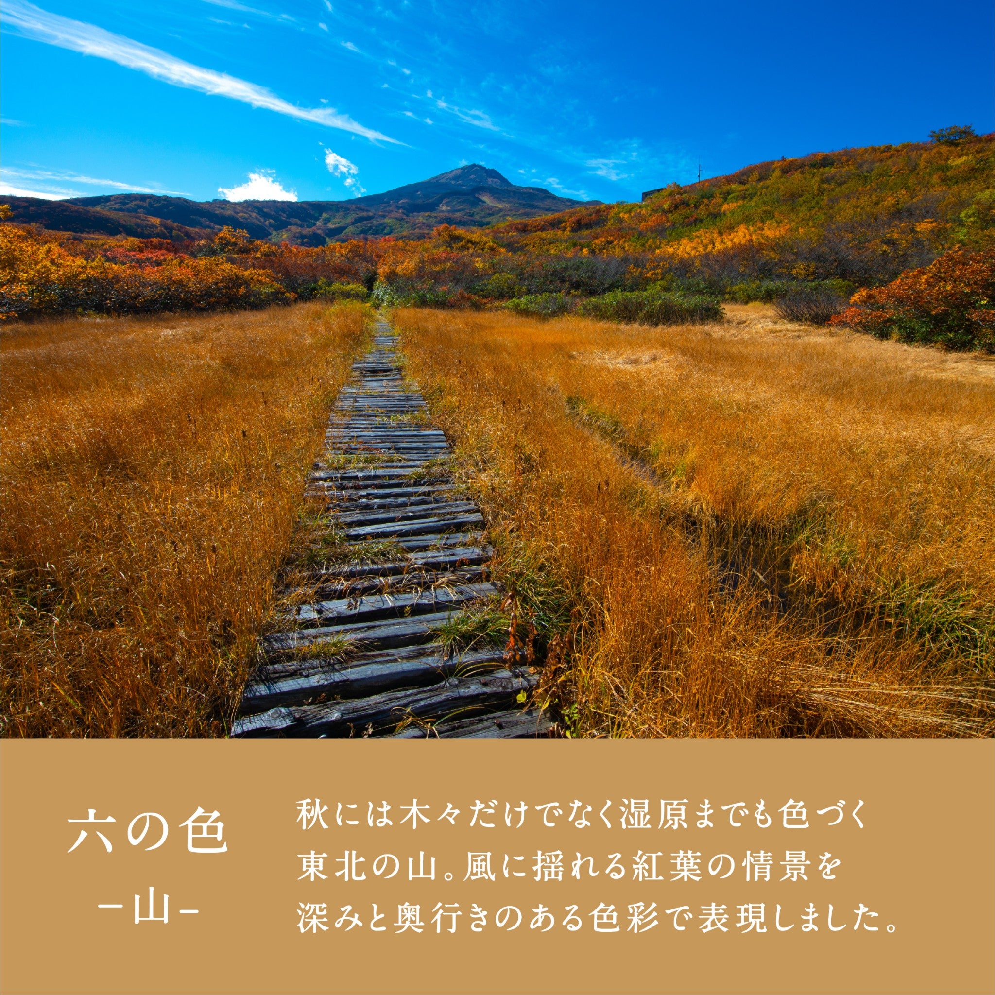 津軽びいどろ 六の色(むつのいろ) 盃ペア 森と山 イメージ画像