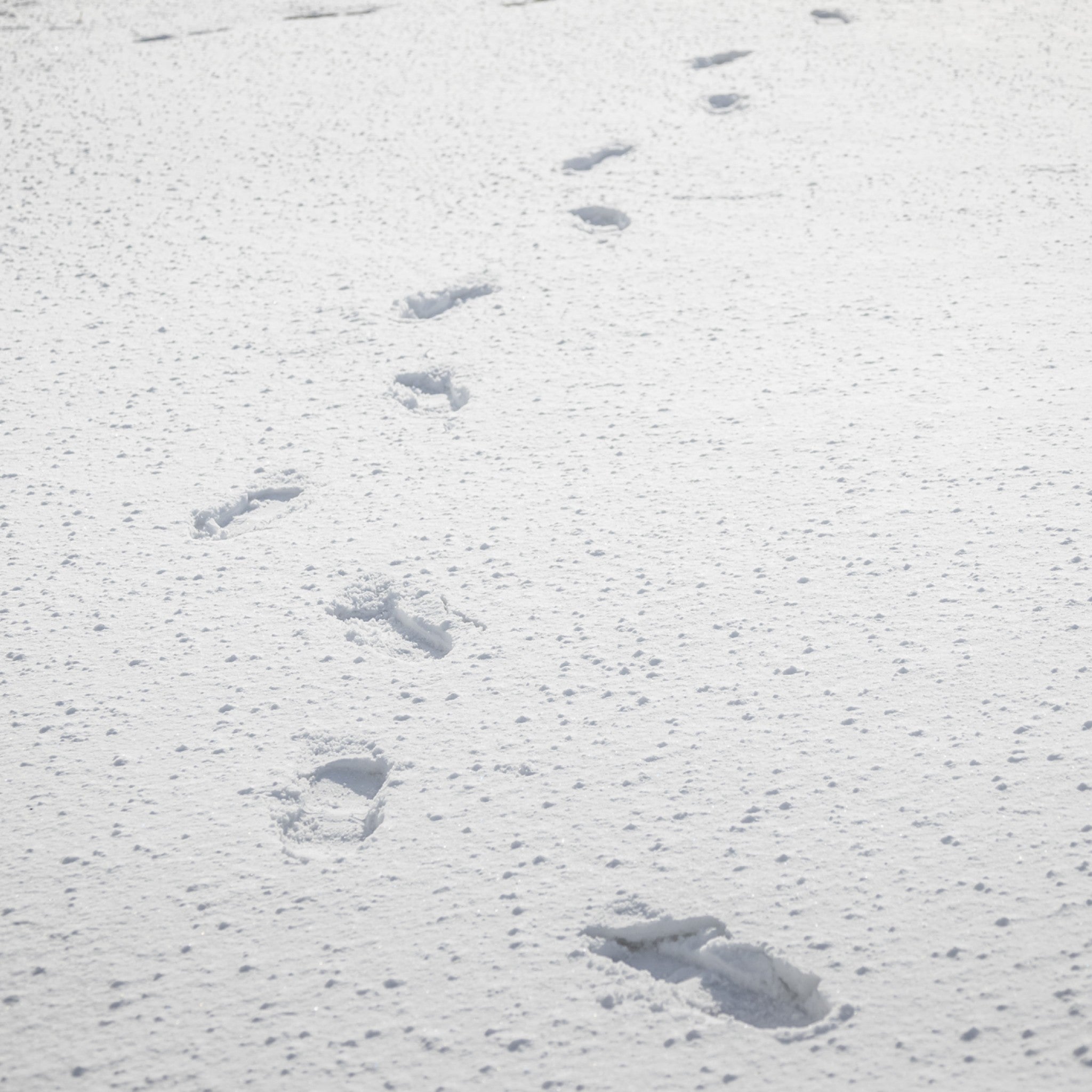 【販路限定】津軽びいどろ 雪うつし ざらめ雪 一輪挿し 雪の景色