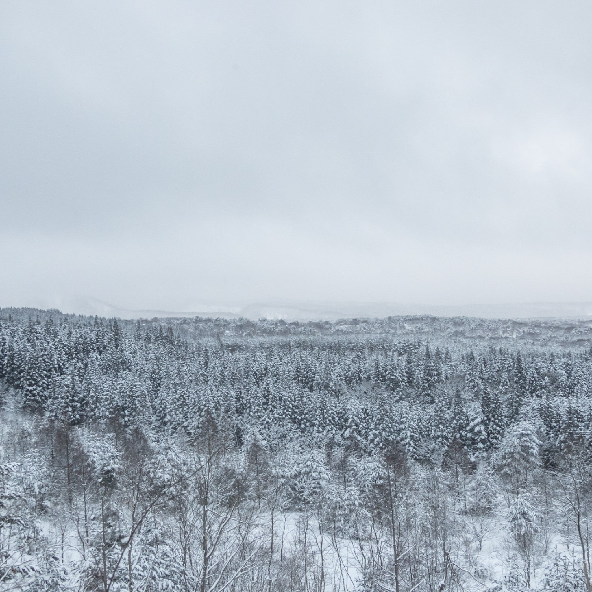 【販路限定】津軽びいどろ 雪うつし ざらめ雪 一輪挿し 雪の風景画像