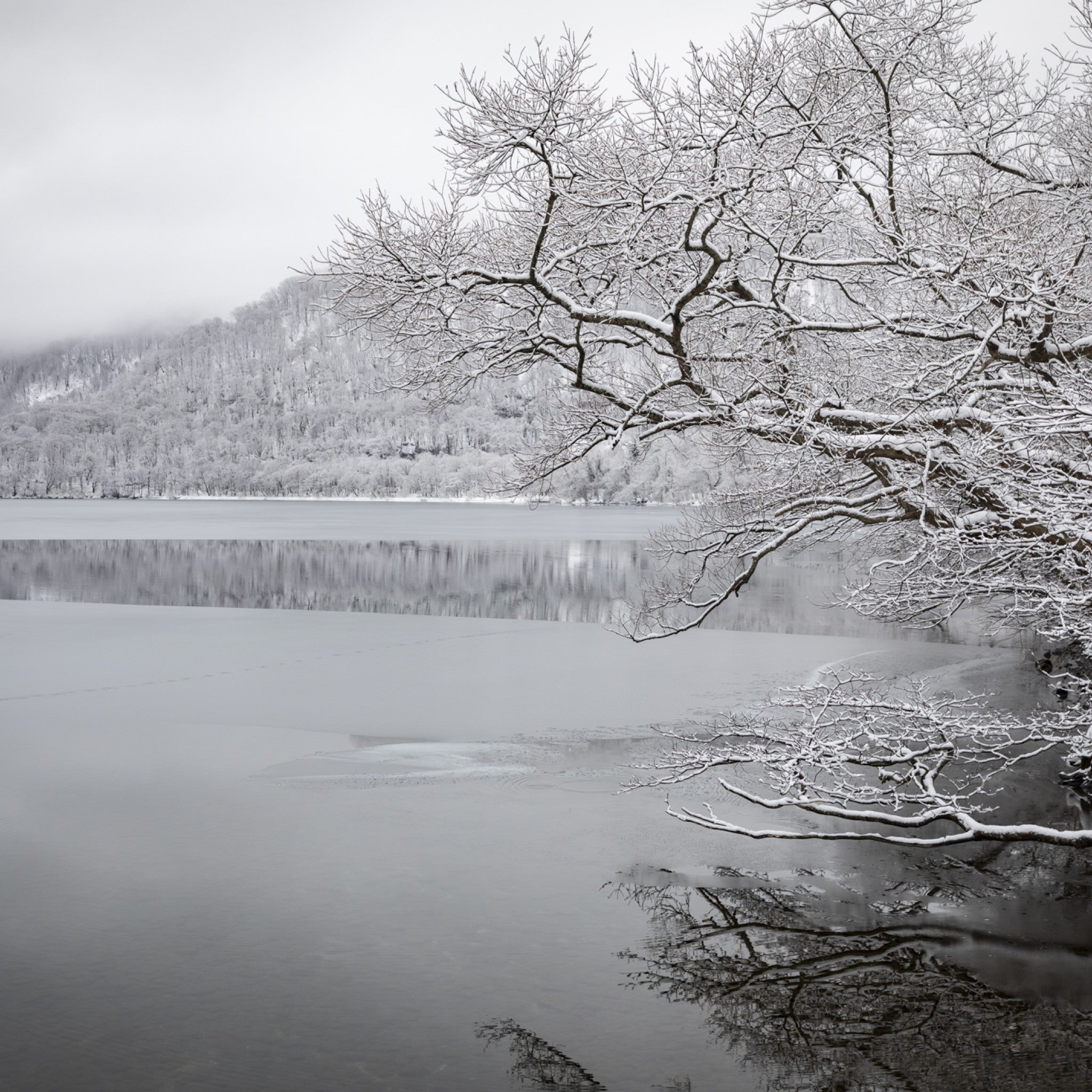 津軽びいどろ 雪うつし ざらめ雪 一輪挿し | おしゃれなガラス花瓶