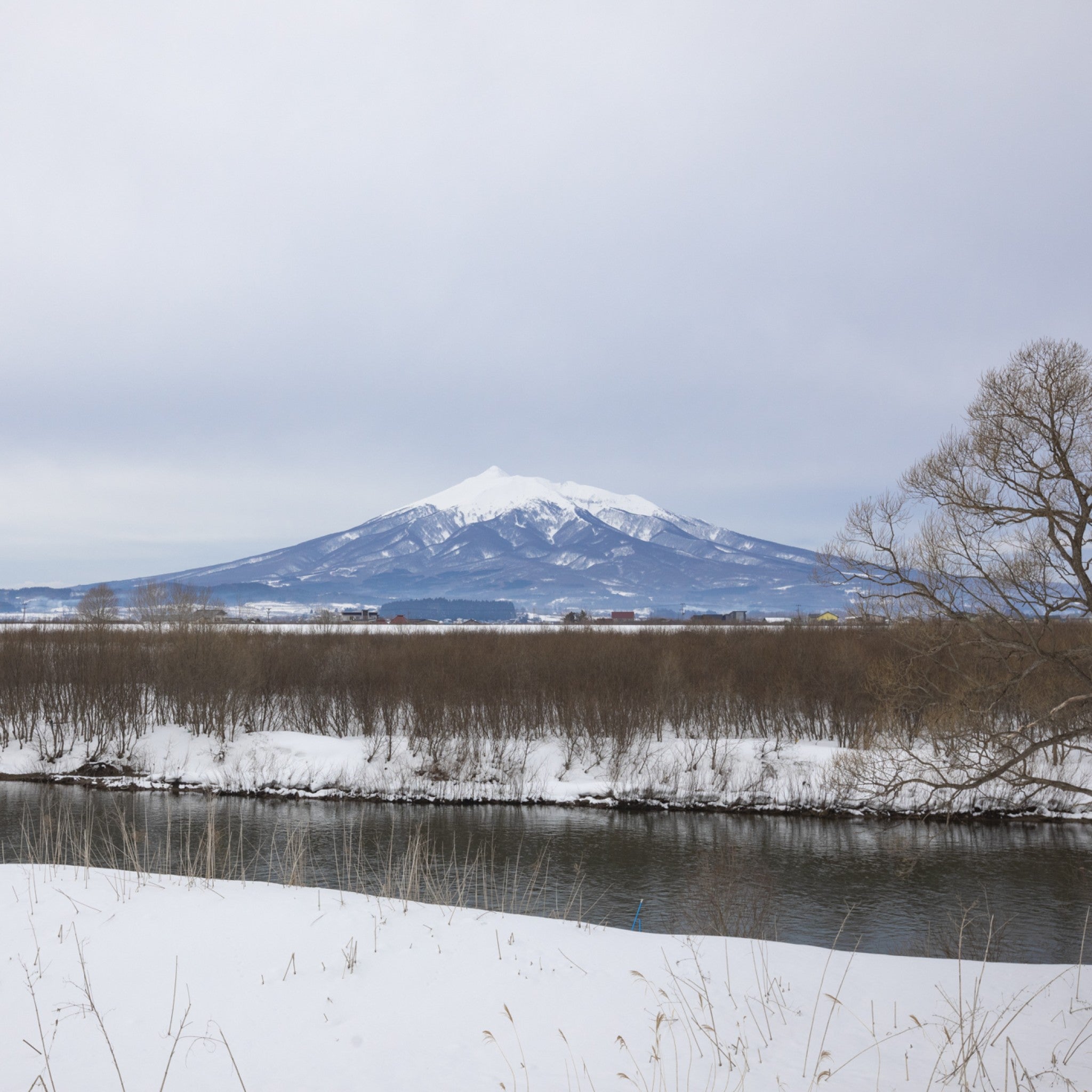 【販路限定】津軽びいどろ 雪うつし こな雪 グラス 雪のイメージ画像