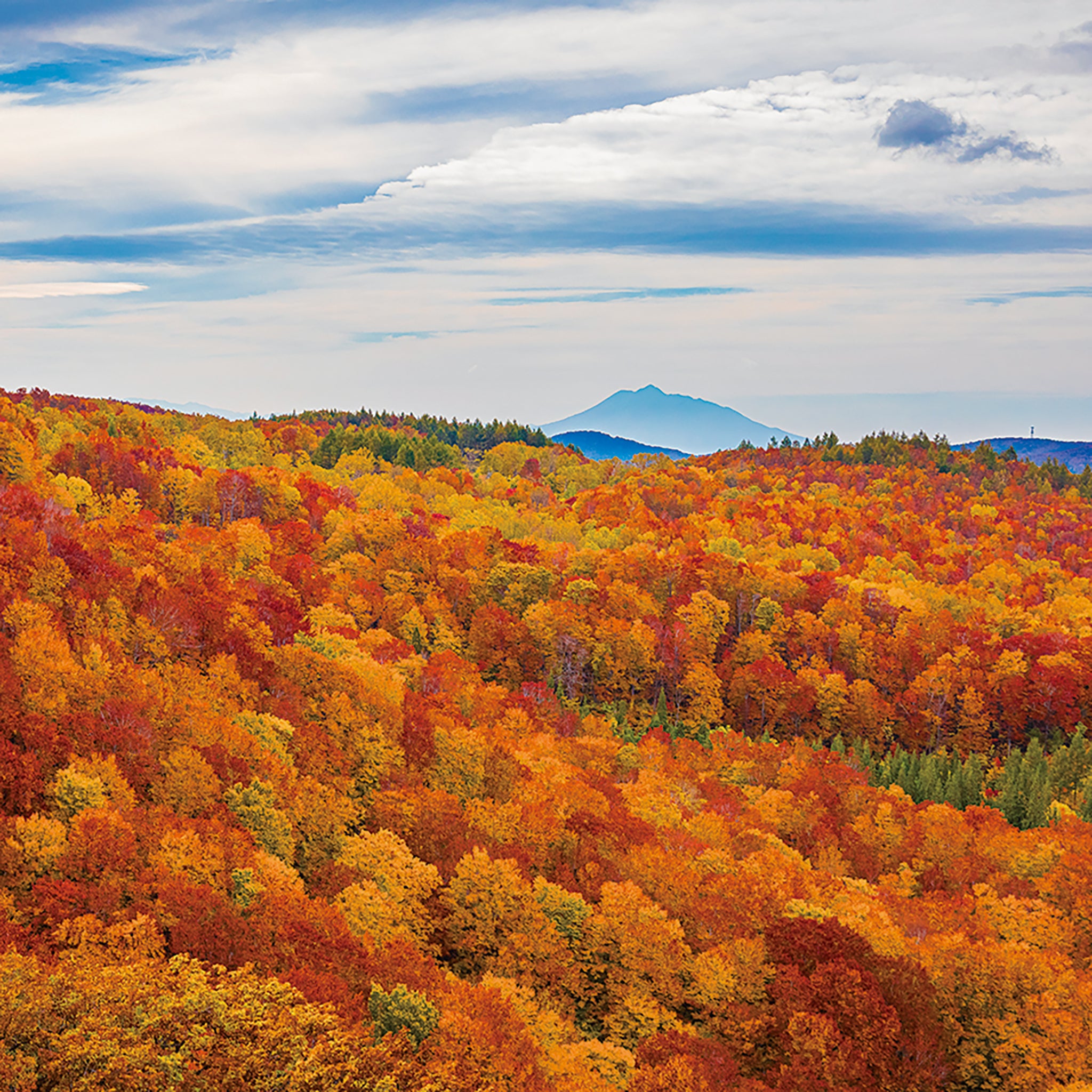 津軽びいどろ にほんの色ふうけい 一輪挿し 紅葉山 イメージ画像