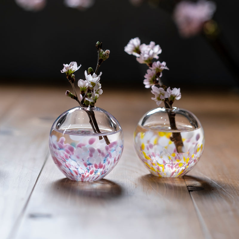 津軽びいどろ さくらさくら 一輪挿し桜と菜の花 色違いの花瓶に桜が活けられている画像