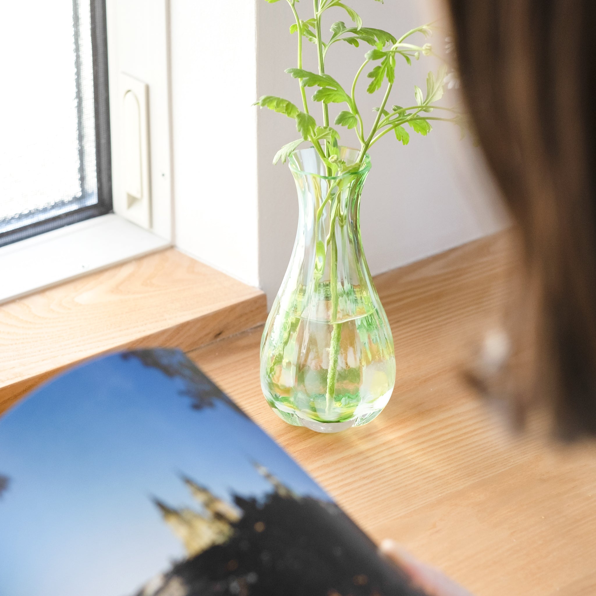 津軽びいどろ 花ひかり フォレストグリーン 緑の植物を活けたイメージ画像