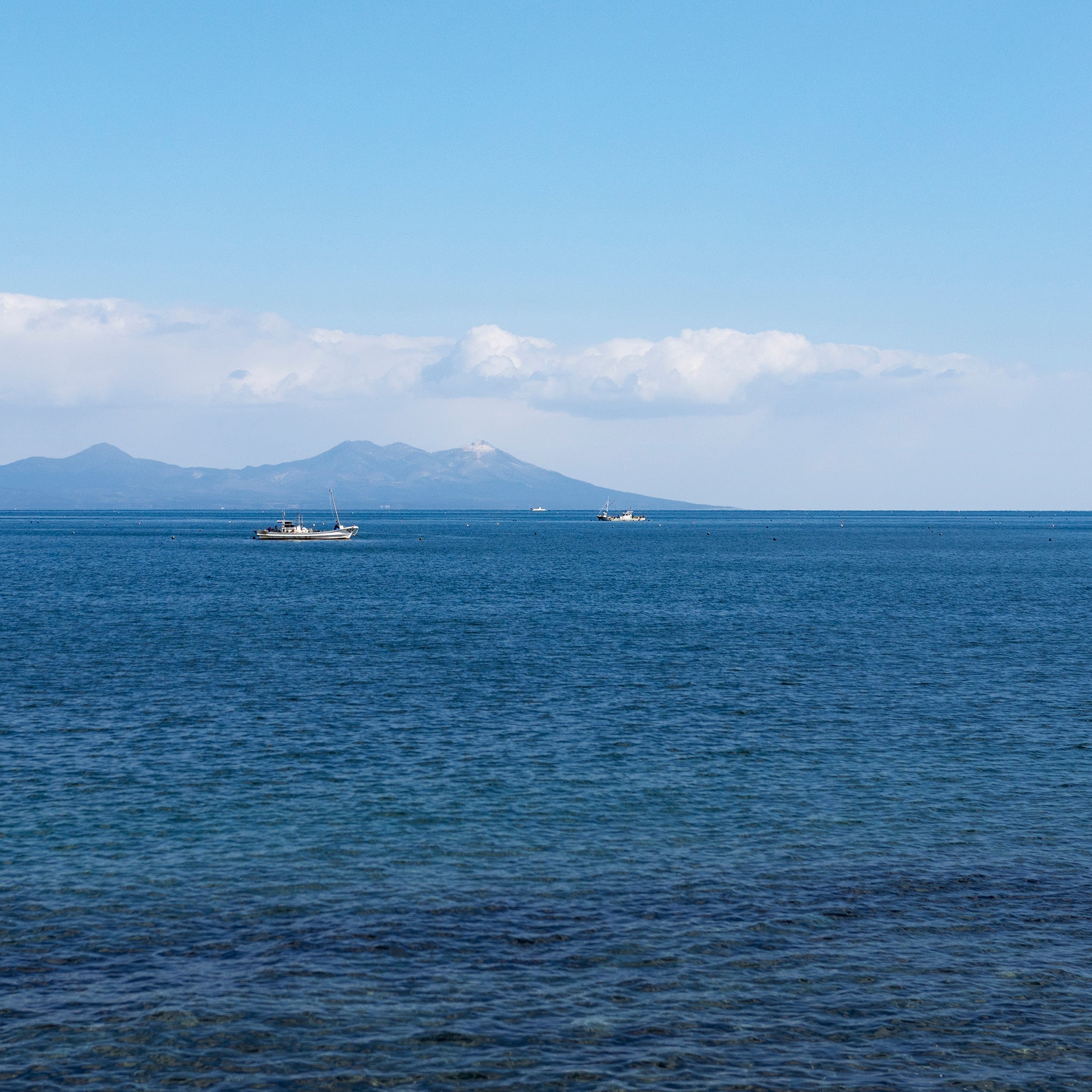 津軽びいどろ あおもりの海 盃 陸奥湾 海の画像